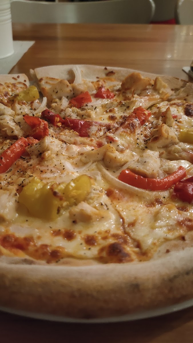 Rozvoz Pizzy Plzen - Pizzerie San Marino-5