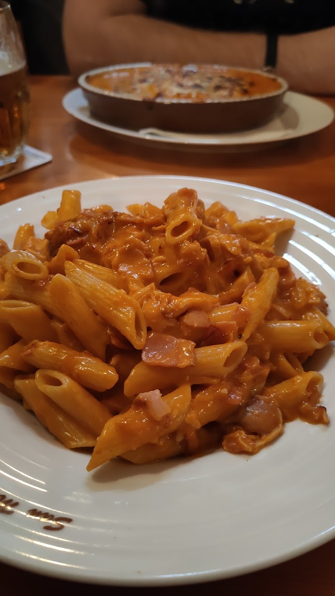 Rozvoz Pizzy Plzen - Pizzerie San Marino-6